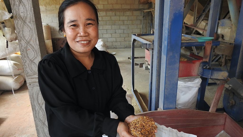 The project developed new irrigation systems and water control flapgates that brought water into rice fields during the dry season and controlled water supply during the rainy season. This enabled beneficiaries such as Duangsone Silangsy to enjoy surplus yields, boosting food supply and income to support their families.