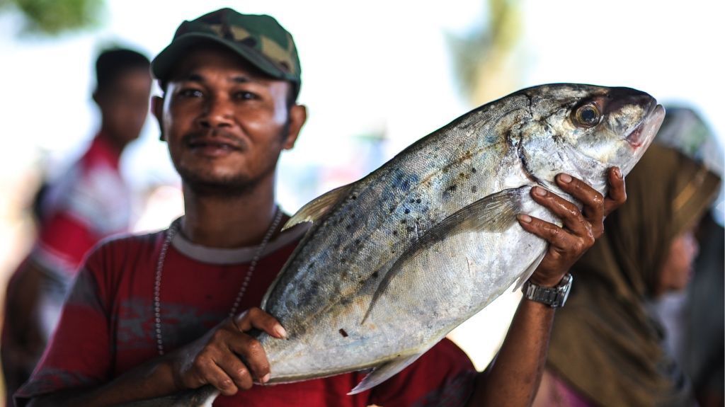 Small Loans with Big Results in Indonesia Local holding big fish