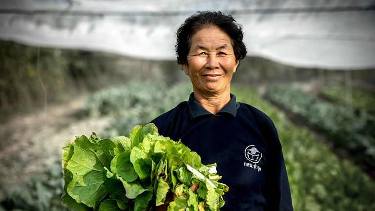 Helping Farmers Go Organic in Thailand