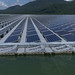 51327-001: Floating Solar Energy Project in Viet Nam