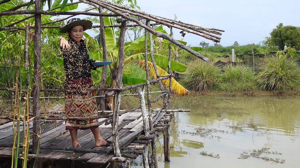 In addition to crops, Ms. Doungsone Silangsy also raises livestock and fish in her backyard farm to help ensure food on her family’s table the whole year round.
