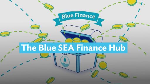 The Blue SEA Finance Hub
