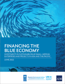  Investments in Sustainable Blue Small–Medium Enterprises and Projects in Asia and the Pacific